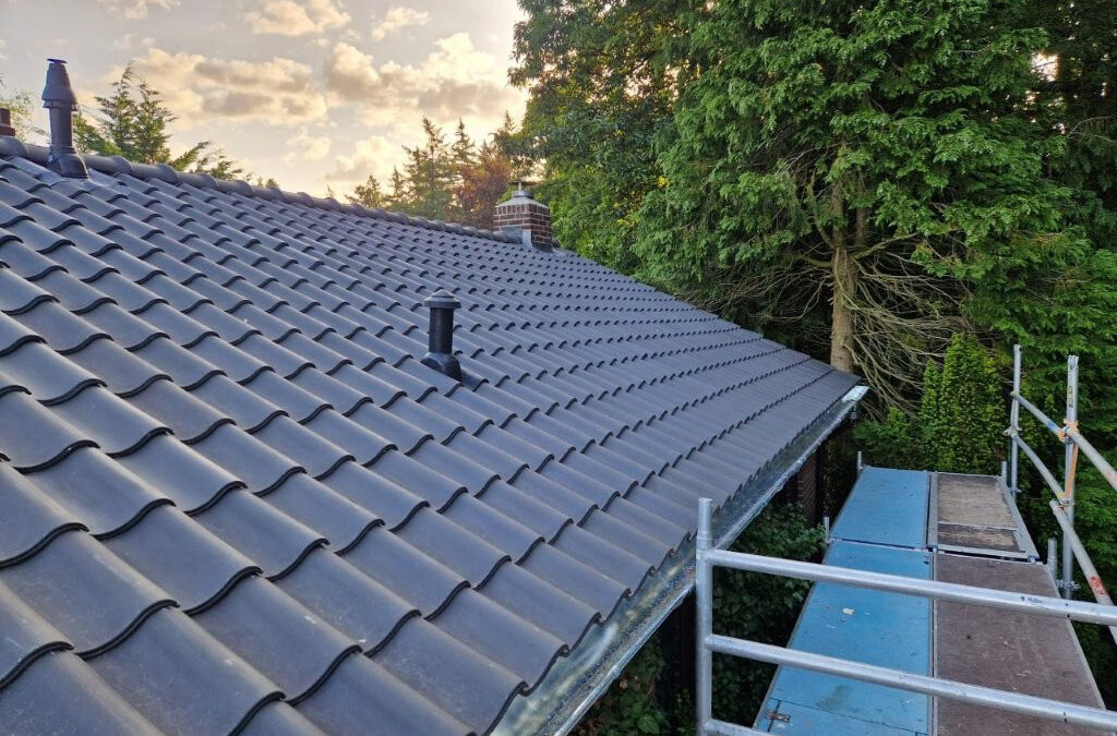 Renovatie dak Ermelo